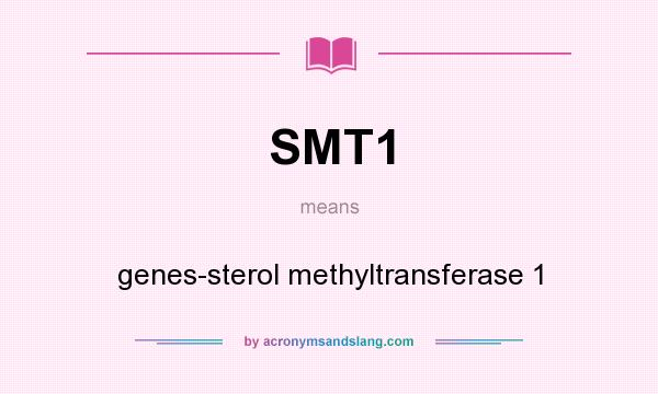 What does SMT1 mean? It stands for genes-sterol methyltransferase 1
