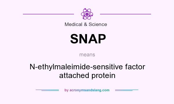 What does SNAP mean? It stands for N-ethylmaleimide-sensitive factor attached protein