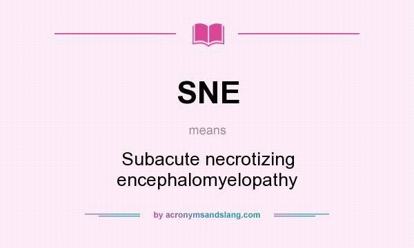 What does SNE mean? It stands for Subacute necrotizing encephalomyelopathy