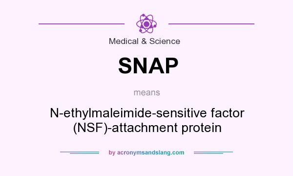 What does SNAP mean? It stands for N-ethylmaleimide-sensitive factor (NSF)-attachment protein