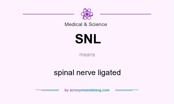 What does SNL mean? It stands for spinal nerve ligated