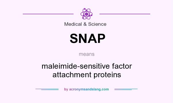 What does SNAP mean? It stands for maleimide-sensitive factor attachment proteins