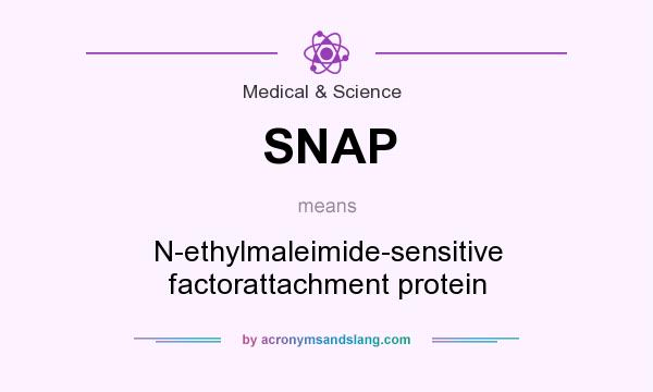 What does SNAP mean? It stands for N-ethylmaleimide-sensitive factorattachment protein