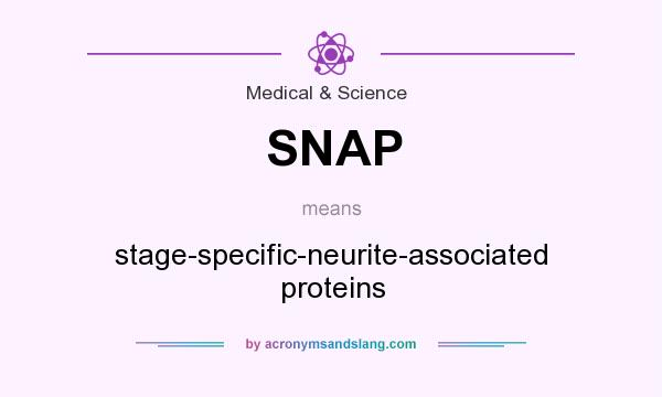 What does SNAP mean? It stands for stage-specific-neurite-associated proteins