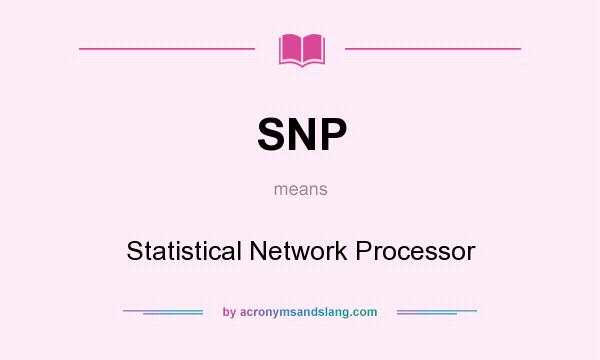 What does SNP mean? It stands for Statistical Network Processor