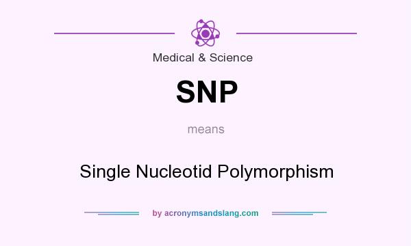 What does SNP mean? It stands for Single Nucleotid Polymorphism