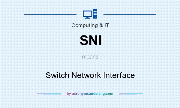What does SNI mean? It stands for Switch Network Interface