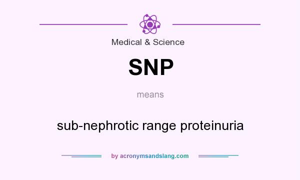 What does SNP mean? It stands for sub-nephrotic range proteinuria