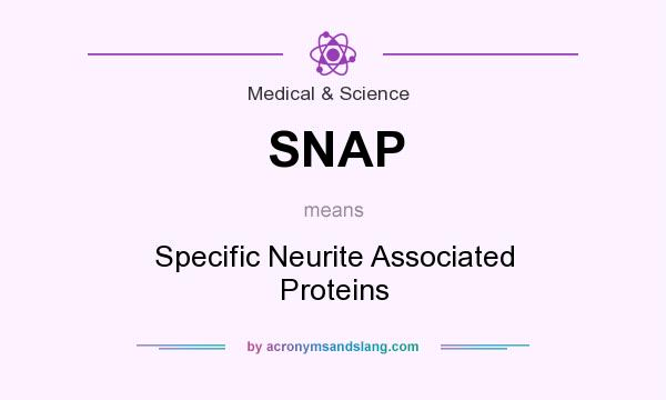 What does SNAP mean? It stands for Specific Neurite Associated Proteins