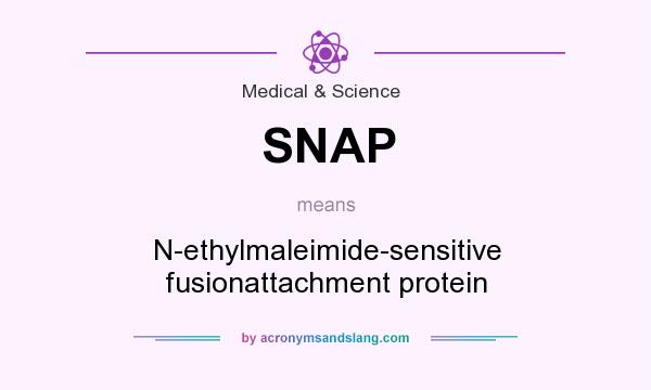 What does SNAP mean? It stands for N-ethylmaleimide-sensitive fusionattachment protein