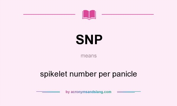What does SNP mean? It stands for spikelet number per panicle