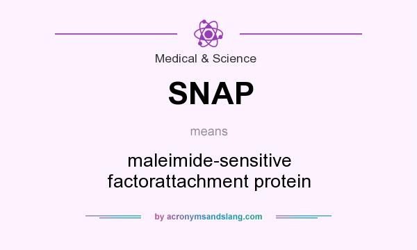 What does SNAP mean? It stands for maleimide-sensitive factorattachment protein