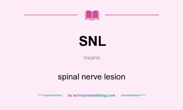 What does SNL mean? It stands for spinal nerve lesion