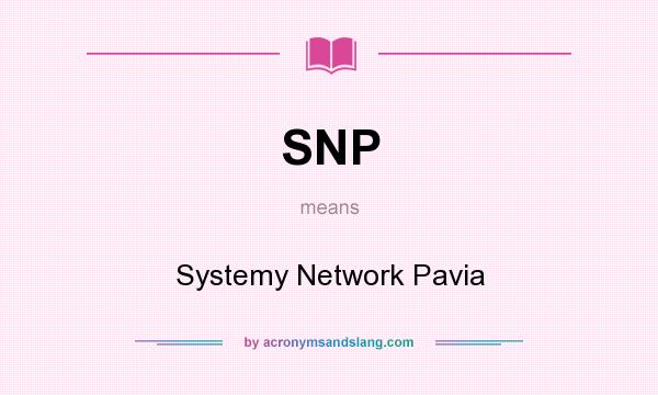 What does SNP mean? It stands for Systemy Network Pavia