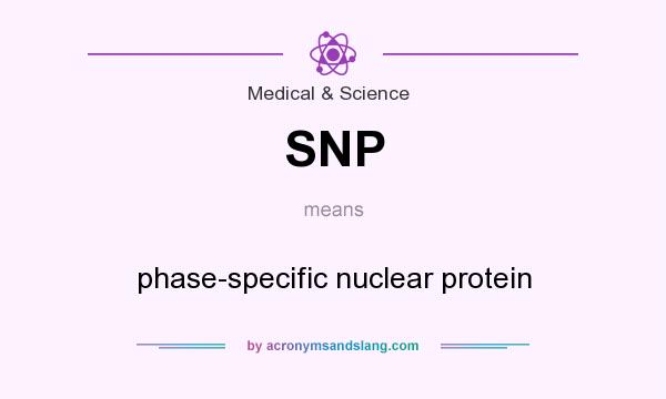 What does SNP mean? It stands for phase-specific nuclear protein