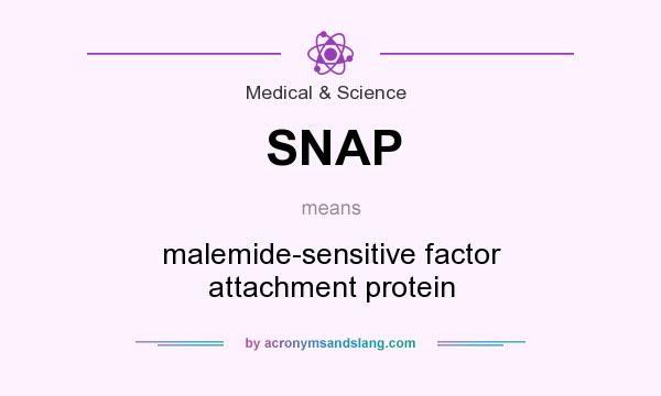 What does SNAP mean? It stands for malemide-sensitive factor attachment protein