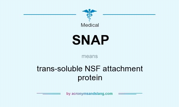 What does SNAP mean? It stands for trans-soluble NSF attachment protein