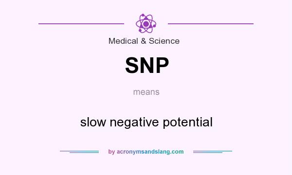 What does SNP mean? It stands for slow negative potential
