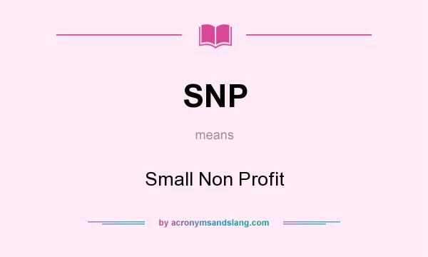 What does SNP mean? It stands for Small Non Profit