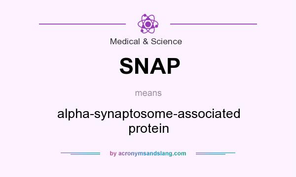 What does SNAP mean? It stands for alpha-synaptosome-associated protein