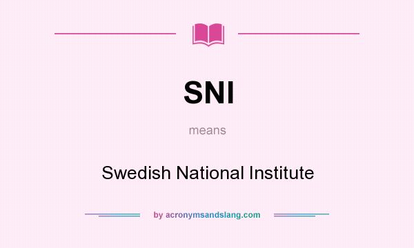 What does SNI mean? It stands for Swedish National Institute