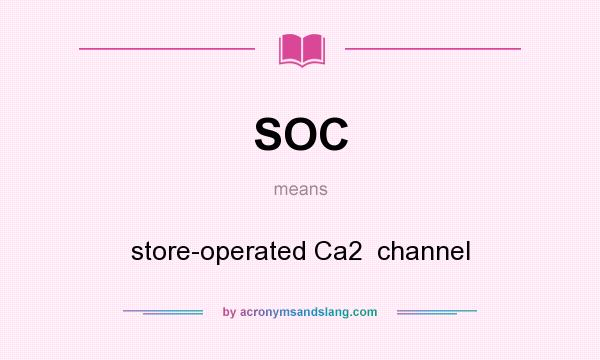What does SOC mean? It stands for store-operated Ca2  channel