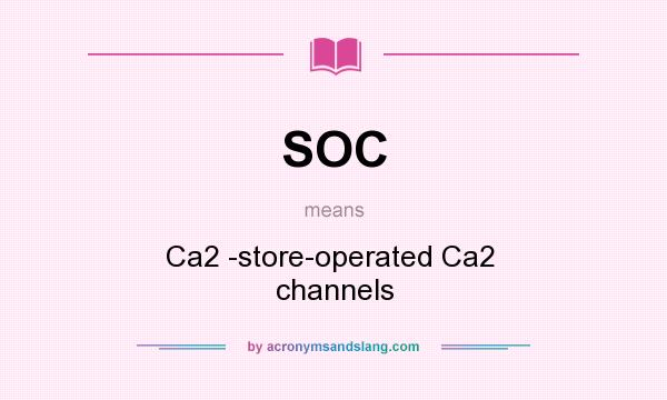 What does SOC mean? It stands for Ca2 -store-operated Ca2  channels