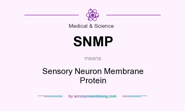 What does SNMP mean? It stands for Sensory Neuron Membrane Protein
