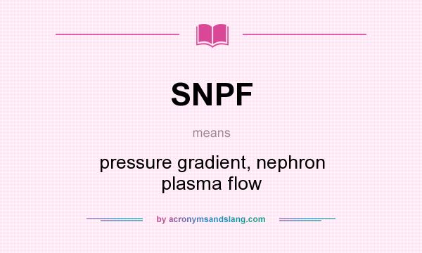 What does SNPF mean? It stands for pressure gradient, nephron plasma flow