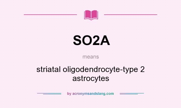 What does SO2A mean? It stands for striatal oligodendrocyte-type 2 astrocytes