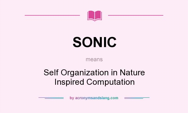 What does SONIC mean? It stands for Self Organization in Nature Inspired Computation