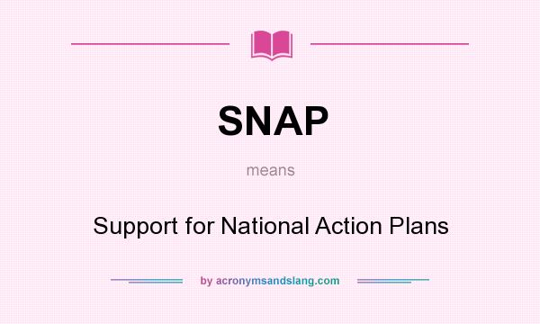 What does SNAP mean? It stands for Support for National Action Plans