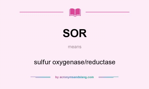 What does SOR mean? It stands for sulfur oxygenase/reductase