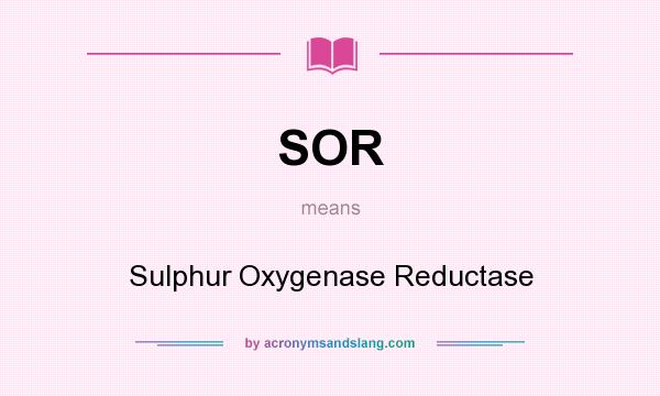 What does SOR mean? It stands for Sulphur Oxygenase Reductase