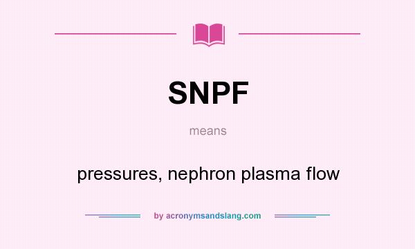 What does SNPF mean? It stands for pressures, nephron plasma flow