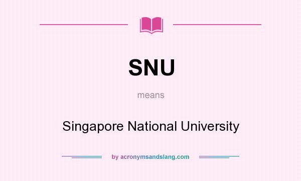 What does SNU mean? It stands for Singapore National University
