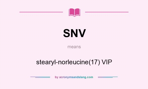 What does SNV mean? It stands for stearyl-norleucine(17) VIP
