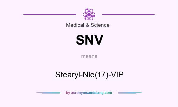 What does SNV mean? It stands for Stearyl-Nle(17)-VIP