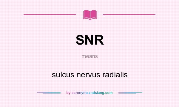 What does SNR mean? It stands for sulcus nervus radialis