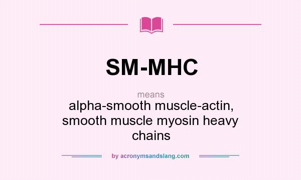 What does SM-MHC mean? It stands for alpha-smooth muscle-actin, smooth muscle myosin heavy chains