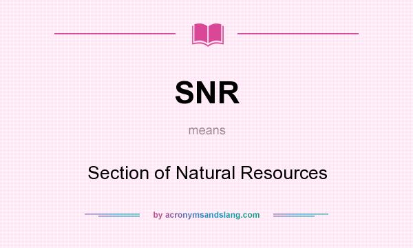What does SNR mean? It stands for Section of Natural Resources