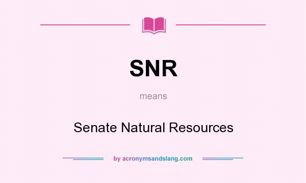 What does SNR mean? It stands for Senate Natural Resources