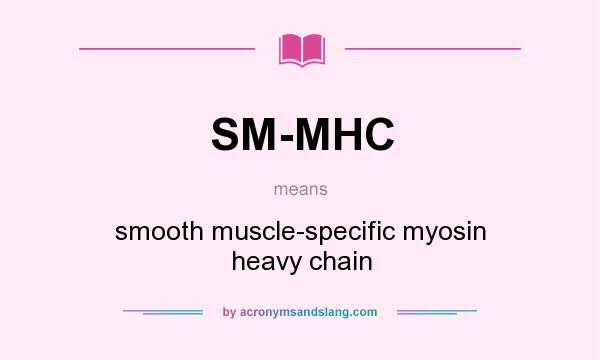 What does SM-MHC mean? It stands for smooth muscle-specific myosin heavy chain