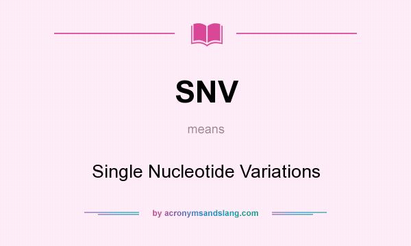 What does SNV mean? It stands for Single Nucleotide Variations
