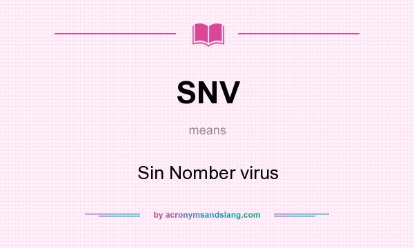 What does SNV mean? It stands for Sin Nomber virus