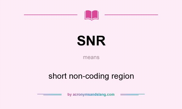 What does SNR mean? It stands for short non-coding region