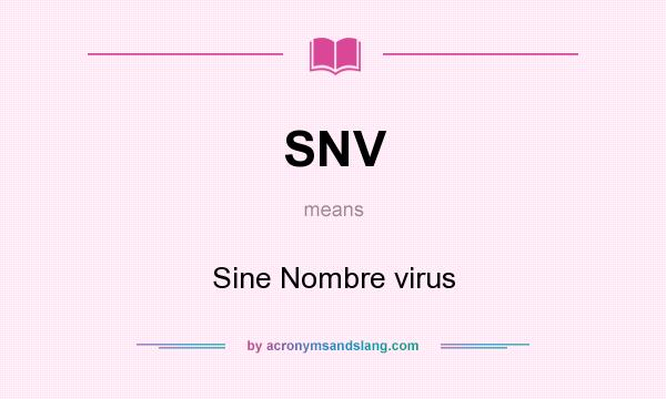 What does SNV mean? It stands for Sine Nombre virus
