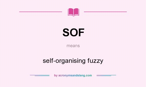 What does SOF mean? It stands for self-organising fuzzy