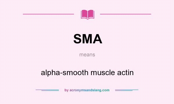 What does SMA mean? It stands for alpha-smooth muscle actin