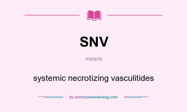 What does SNV mean? It stands for systemic necrotizing vasculitides